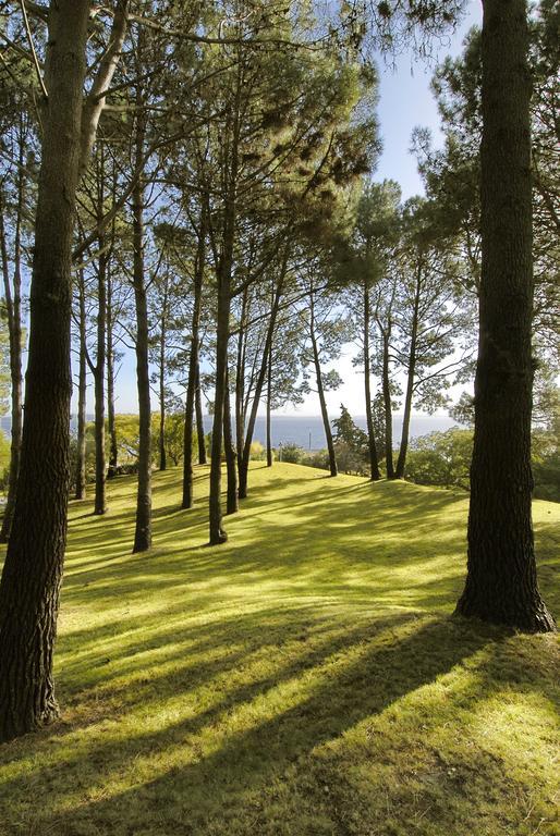 Hotel del Lago Golf&Art Resort Punta del Este Exterior foto